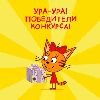 Подведение итогов розыгрыша от 4.11.2019